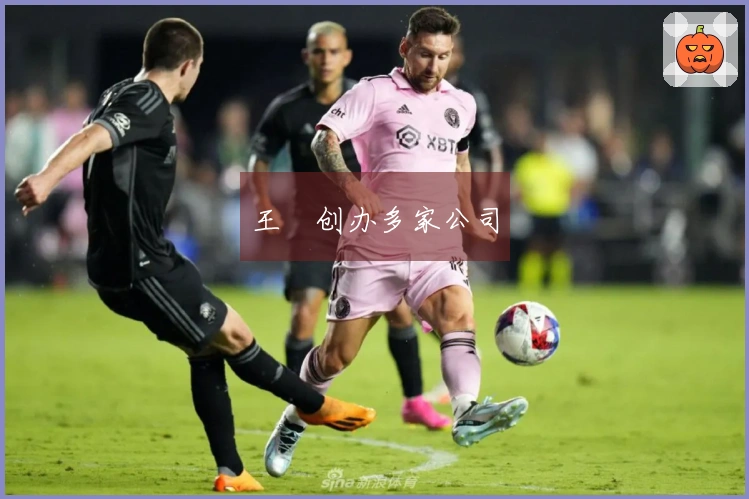 王濛创办多家公司