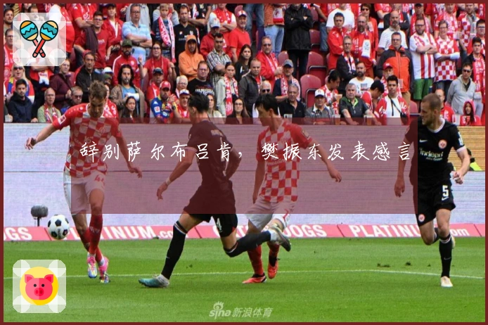 辞别萨尔布吕肯，樊振东发表感言